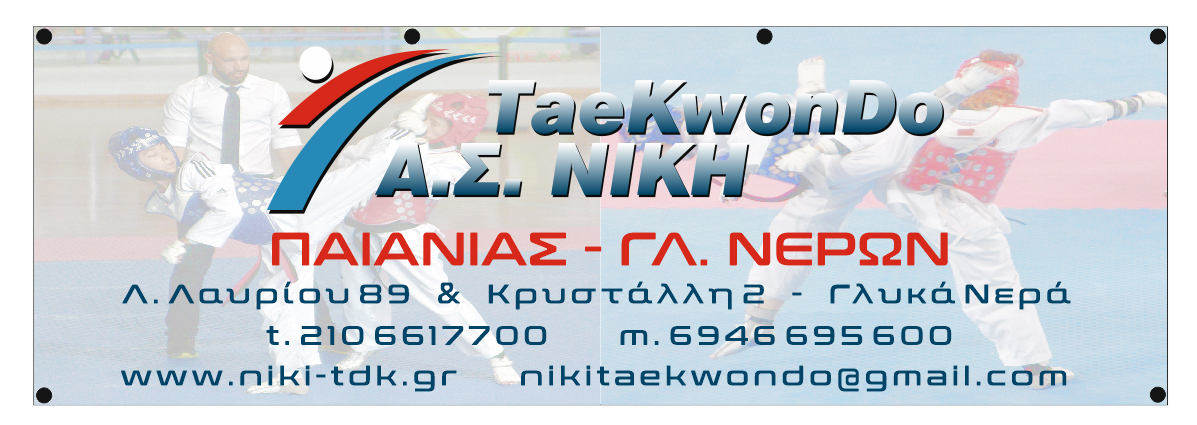 Athletic banner 300x100cm for the team NIKI TAEK WON DO